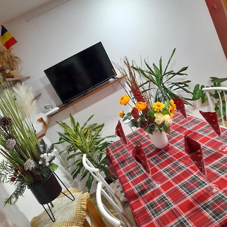 Apartment Boulevard Cetate Alba Iulia Dış mekan fotoğraf