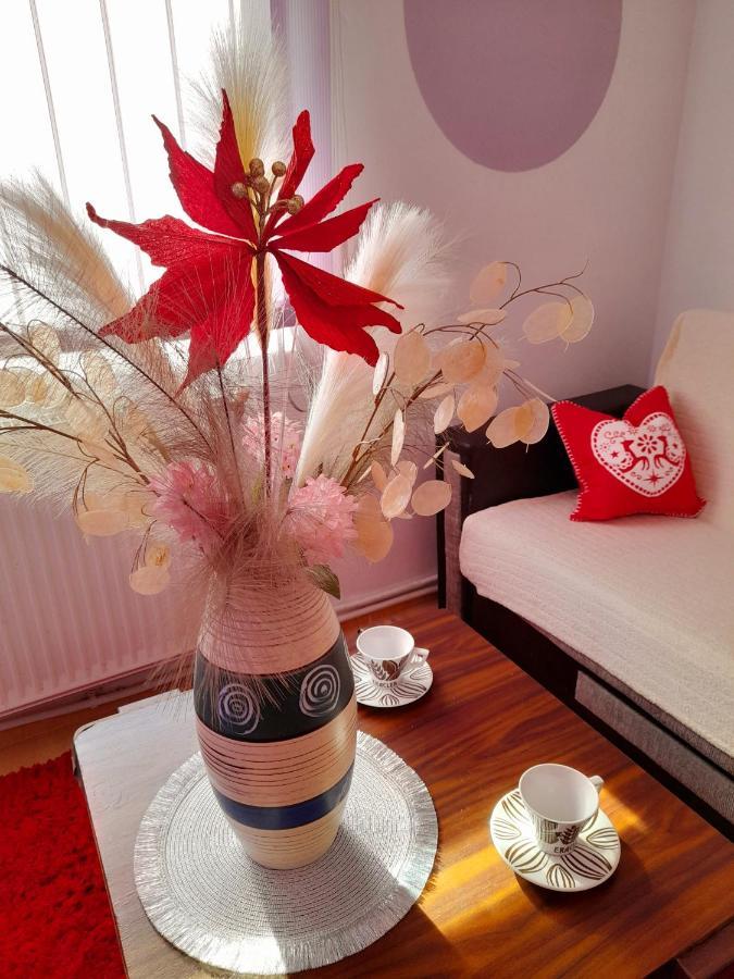 Apartment Boulevard Cetate Alba Iulia Dış mekan fotoğraf