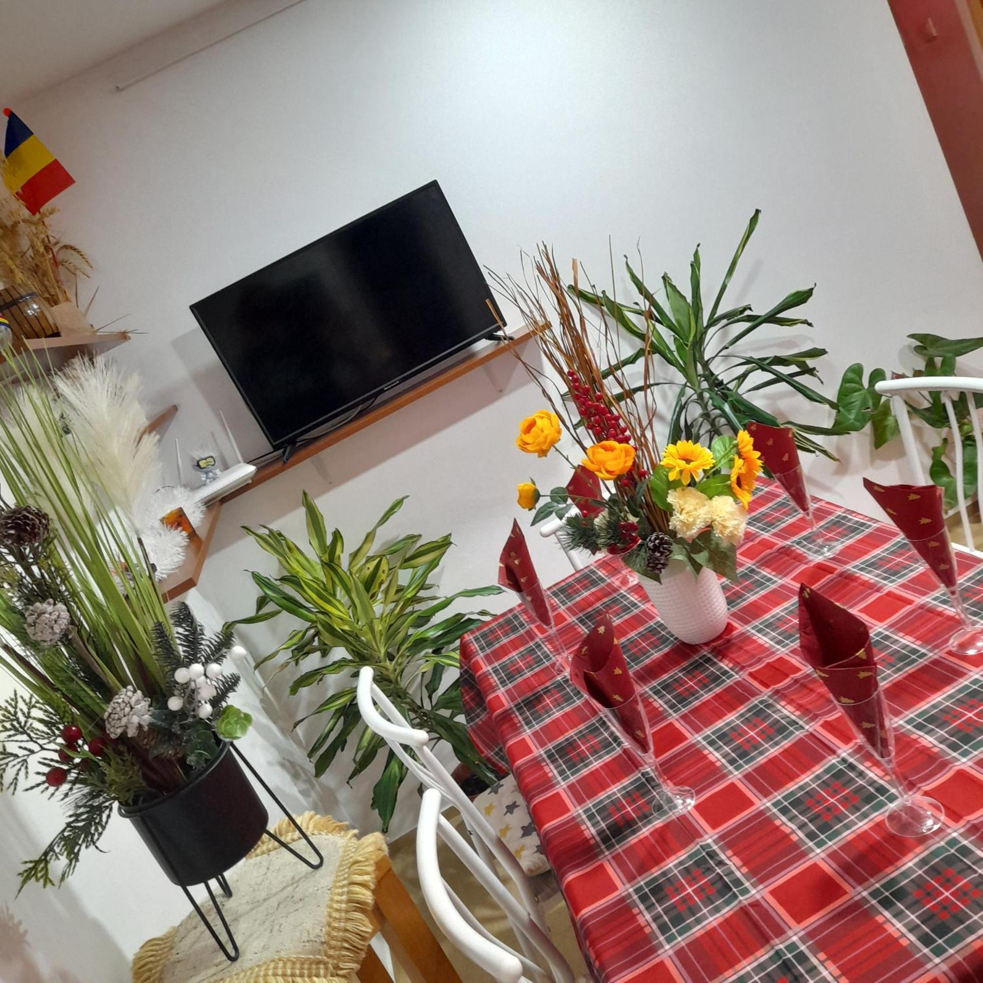 Apartment Boulevard Cetate Alba Iulia Dış mekan fotoğraf