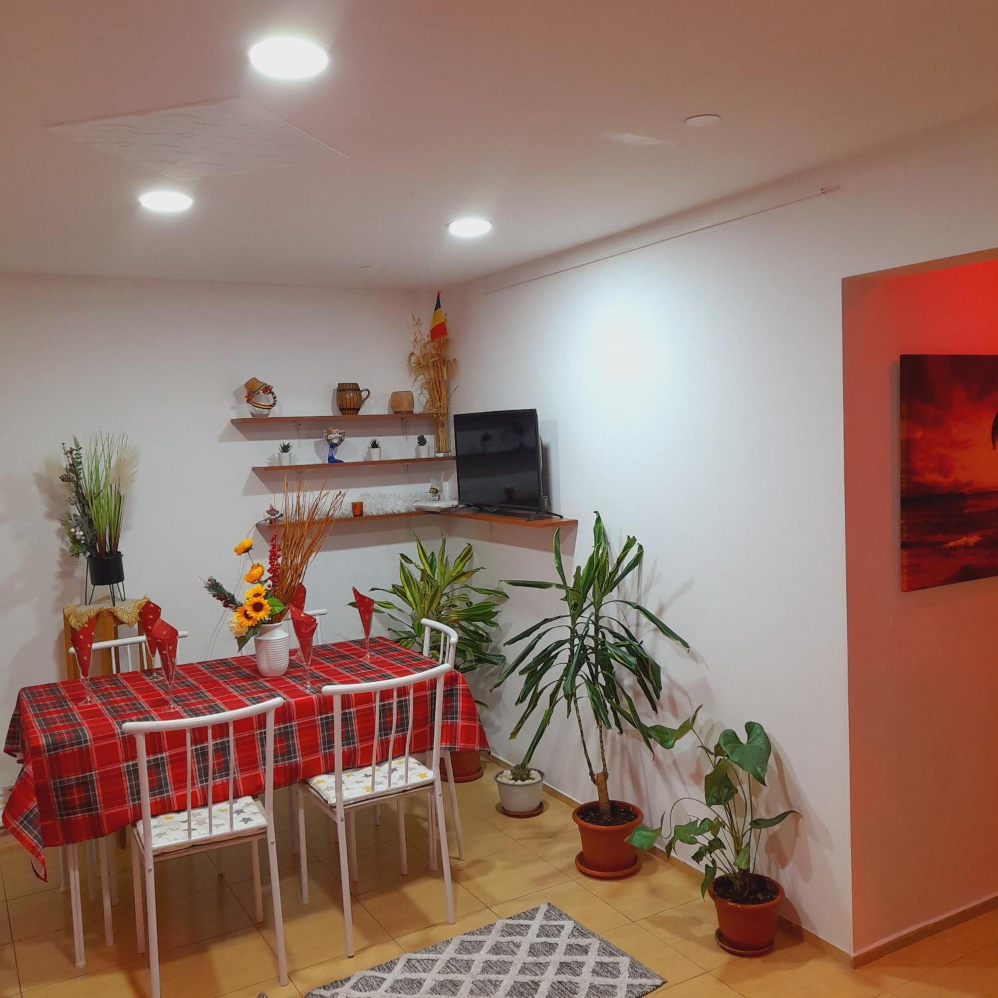 Apartment Boulevard Cetate Alba Iulia Oda fotoğraf
