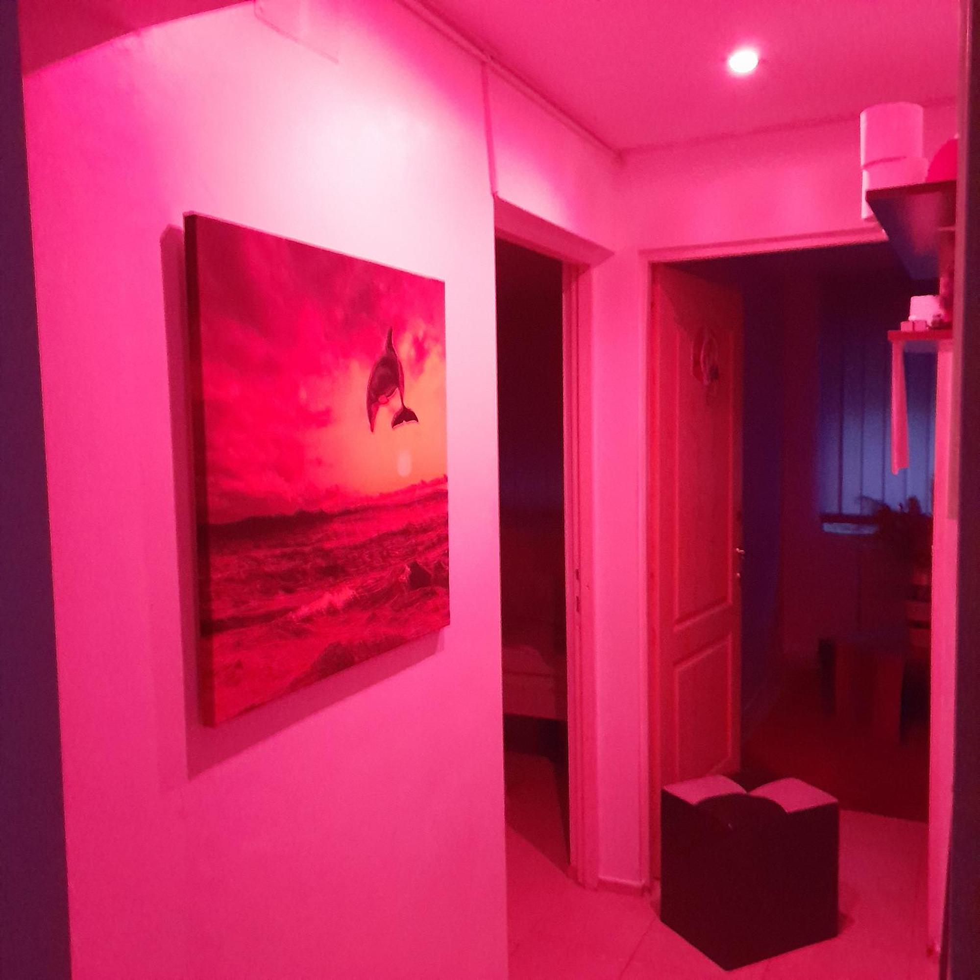 Apartment Boulevard Cetate Alba Iulia Dış mekan fotoğraf