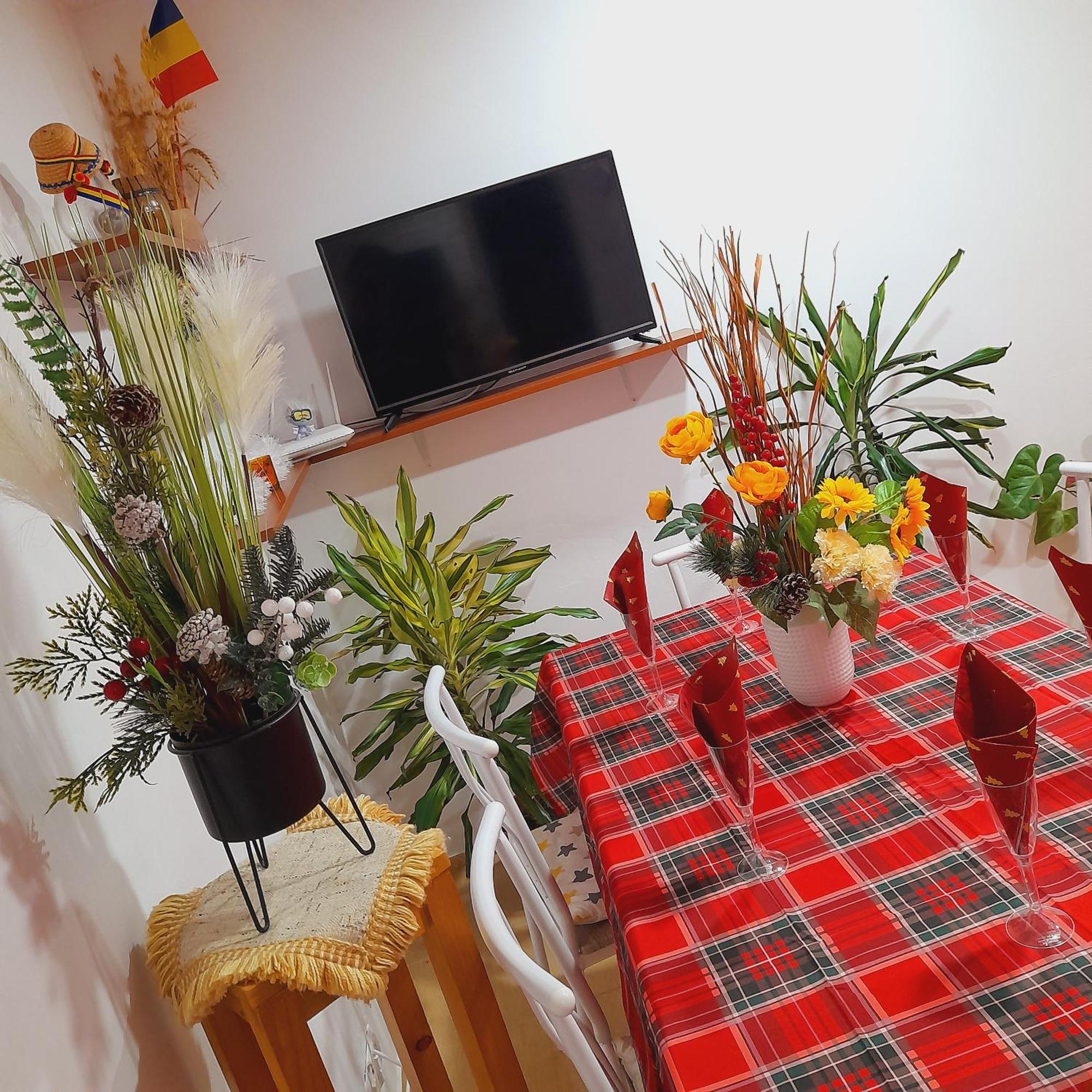 Apartment Boulevard Cetate Alba Iulia Oda fotoğraf